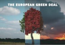 Green Deal europeo: tra entusiasmo e perplessità il patto verde fa progressi Green Deal europeo