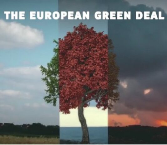 Green Deal europeo: tra entusiasmo e perplessità il patto verde fa progressi Green Deal europeo