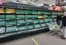 Crisi dei mercati, materie prime, alimentare: è il futuro che ci aspetta mercati