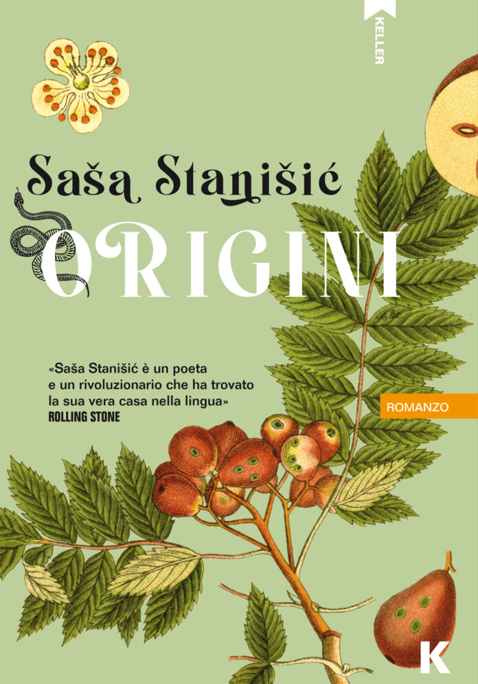 STANISIC-08 cover Origini Stanisic