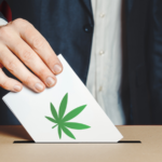 Cannabis