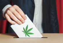 Referendum sulla cannabis, molte ombre e poche luci Cannabis
