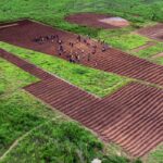 Sei motivi per osservare con grande attenzione la piccola produzione di scala alla COP26