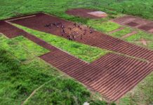 Sei motivi per osservare con grande attenzione la piccola produzione di scala alla COP26 Sei motivi per osservare con grande attenzione la piccola produzione di scala alla COP26