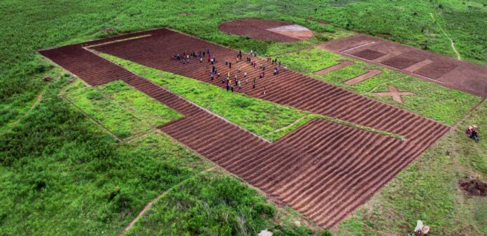 IFADONE Sei motivi per osservare con grande attenzione la piccola produzione di scala alla COP26