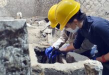 Pompei, gli scavi restituiscono nuove scoperte Pompei