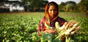 IFAD 