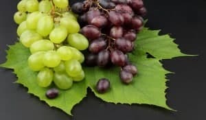 Irpinia