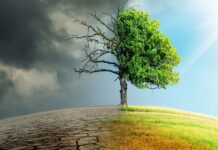 IFAD, rapporto lancia allarme per l’Africa L’IFAD in un rapporto lancia l’allarme crollo produzione di colture di base a causa cambiamento climatico entro il 2050
