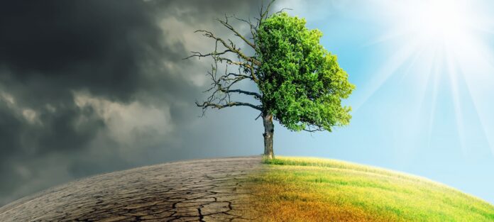 unep IMMA L’IFAD in un rapporto lancia l’allarme crollo produzione di colture di base a causa cambiamento climatico entro il 2050