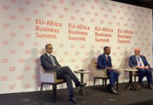 EU-Africa Business Summit 2021, cooperare per la transizione verde e digitale European Business Summit 2021