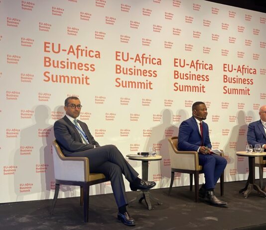 EU-Africa Business Summit 2021, cooperare per la transizione verde e digitale European Business Summit 2021