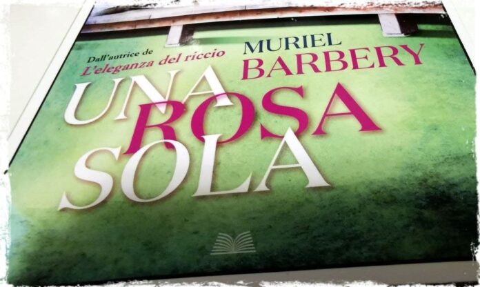"Una Rosa sola"