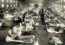 Epidemie e rimedi dalle carte degli Archivi d’Italia Epidemie