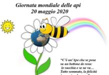 Le Api non servono di certo a fare solo il miele Api