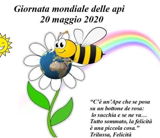 Le Api non servono di certo a fare solo il miele Api