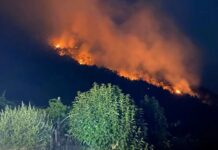Caldo record e gas serra, la controversia sul riscaldamento globale Gas serra