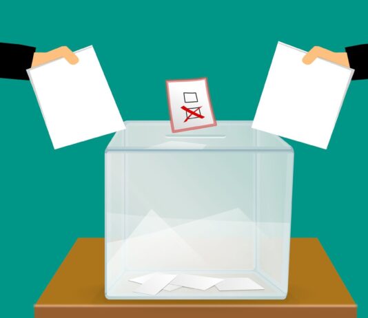 Elezioni e generazioni Elezioni