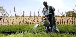 EU-Africa Business Summit, a Bruxelles la quinta edizione