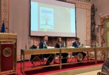 Olio, la nuova frontiera del turismo Olio