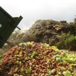 Spreco alimentare