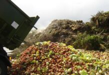 La piaga dello spreco alimentare Spreco alimentare
