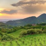 Colli Euganei, tra terme, sport ed enogastronomia Colli Euganei