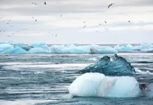 Global warming: entro il 2100 la fine dei ghiacciai ghiacciai
