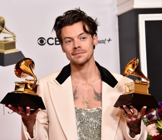Harry Styles, l’inarrestabile ascesa di una stella Harry