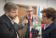 Regionali Lombardia, intervista esclusiva alla candidata Ester Pungolino Ester Pungolino