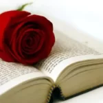 Giornata mondiale del libro (e delle rose) Giornata mondiale del libro