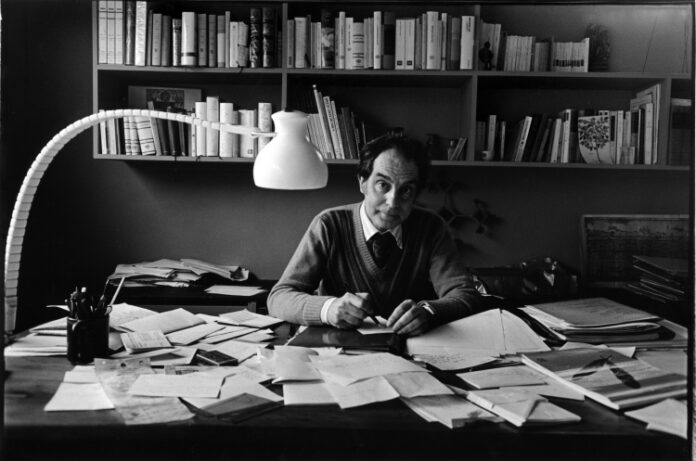 Calvino Calvino