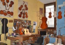 “Il violino svelato” di Trabucchi Violino