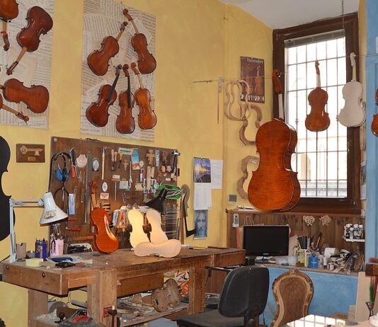 “Il violino svelato” di Trabucchi Violino
