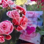 Dammi mille baci, la dolcezza di un sentimento Dammi mille baci