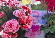Dammi mille baci, la dolcezza di un sentimento Dammi mille baci