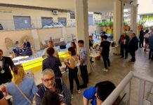 Estate, vini adatti alla stagione Vini