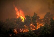 Estate di fuoco in Grecia. E anche in Italia incendi incendi