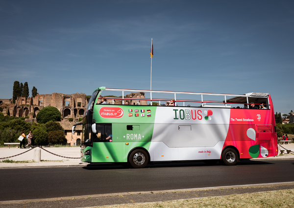 Iobus Iobus