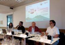 Metti una sera con i vini del Vesuvio Vesuvio