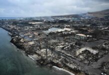 Maui, indagini su allarmi e sirene non partite Maui