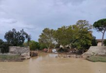 Alluvione a Campi Bisenzio: dalla forza dei cittadini all’assenza delle istituzioni Alluvione Campi Bisenzio