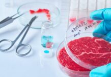 Carne coltivata, tifo proteste e pure una rissa Carne coltivata