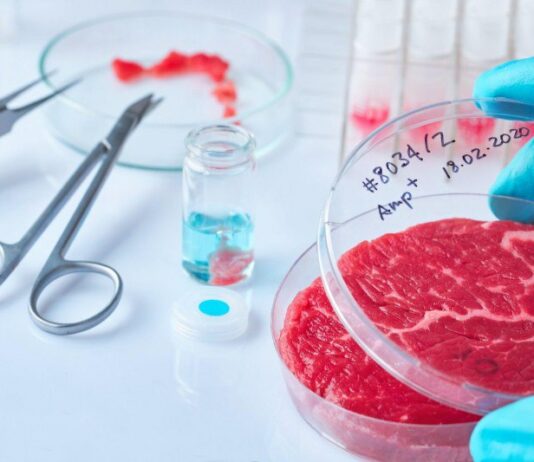 Carne coltivata, tifo proteste e pure una rissa Carne coltivata
