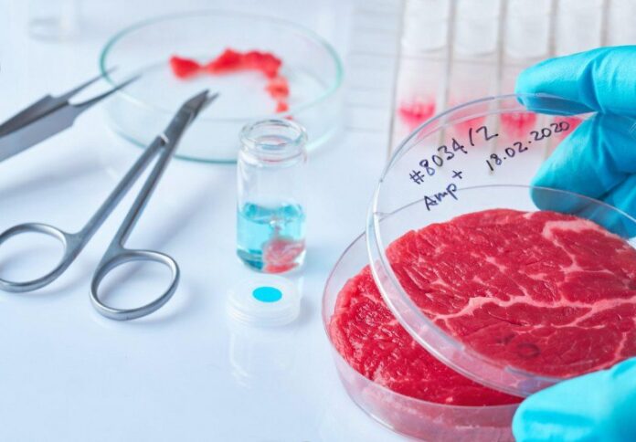 Carne coltivata Carne coltivata