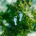 Impronta ecologica e biodiversità Biodiversità