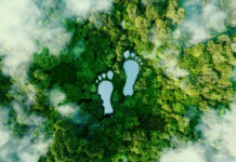 Impronta ecologica e biodiversità Biodiversità