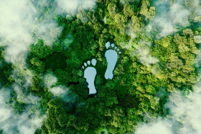 Biodiversità Biodiversità