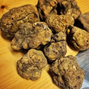 Tartufo