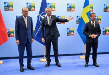 Come l’entrata della Svezia alla Nato passa tra Grecia e Turchia Svezia